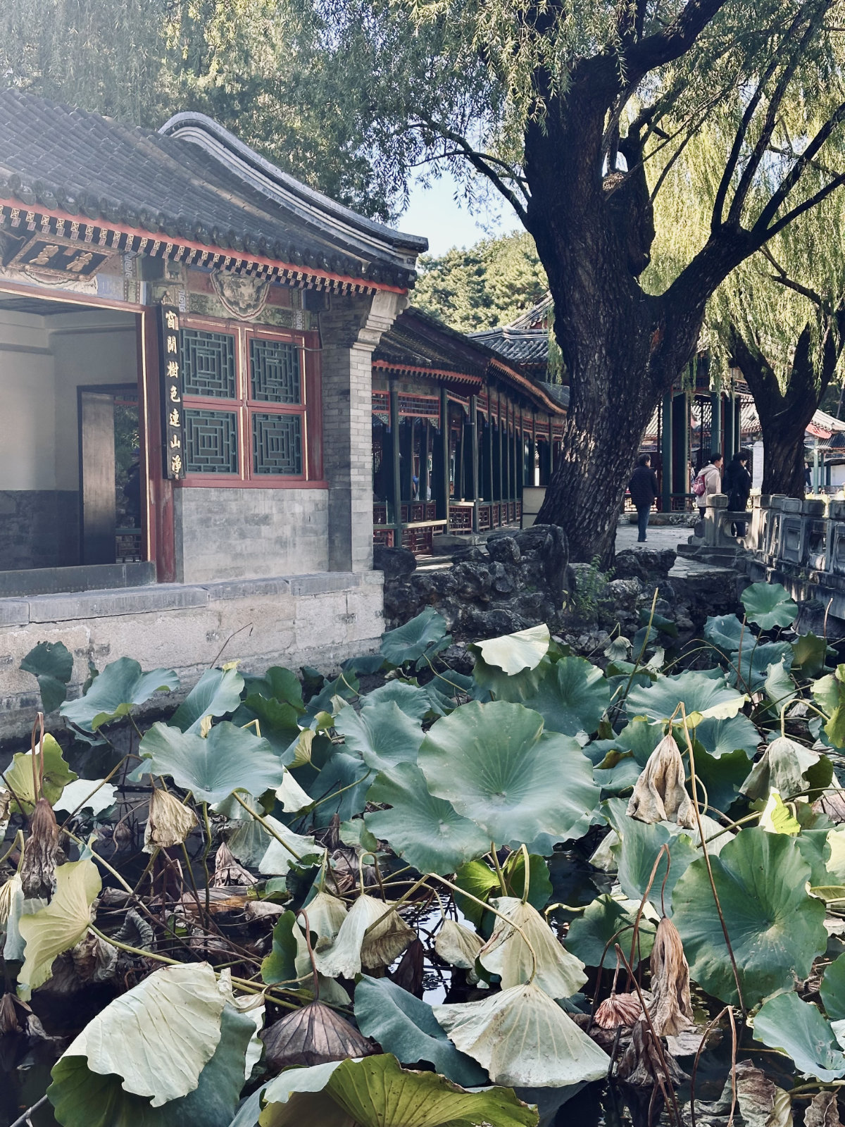 Pavillon chinois, Architecture traditionnelle, Pékin, Palais d’Été de Pékin