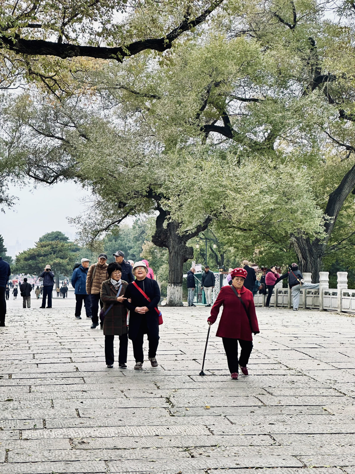 Shenyang, Parc et jardin, Parc Beiling de Shenyang