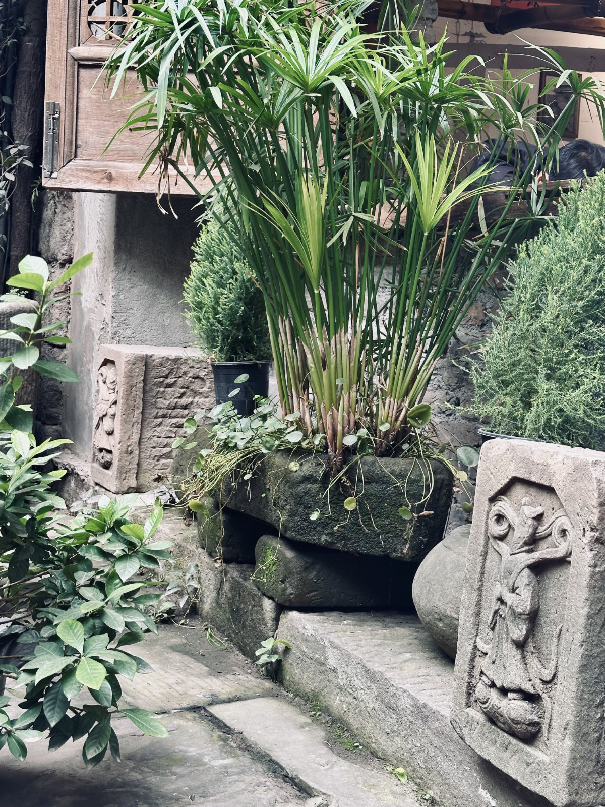 Atmosphère chinoise, Ambiance traditionnelle, Chongqing, Chongqing Mountain City Alley, Ruelle végétalisée
