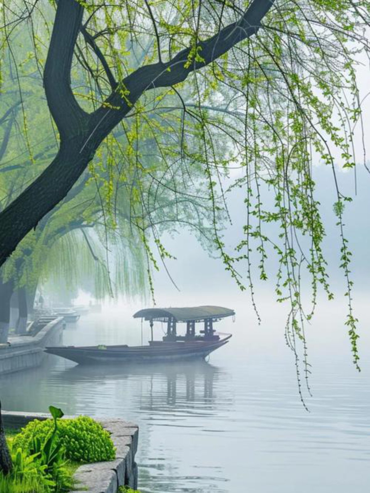 Saules et bateau au bord du lac de l'ouest, Hangzhou