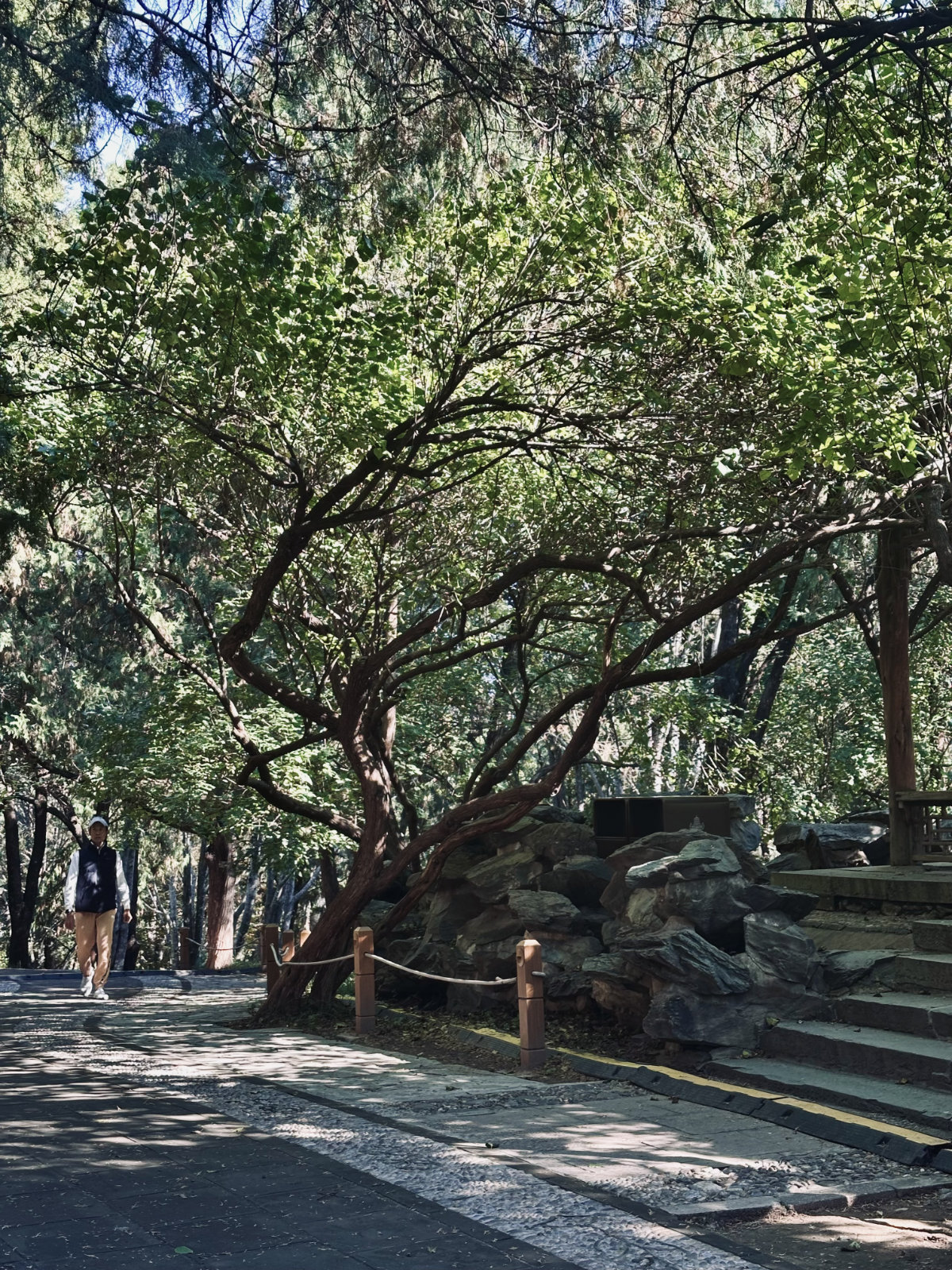 Pékin, Parc et jardin, Palais d’Été de Pékin
