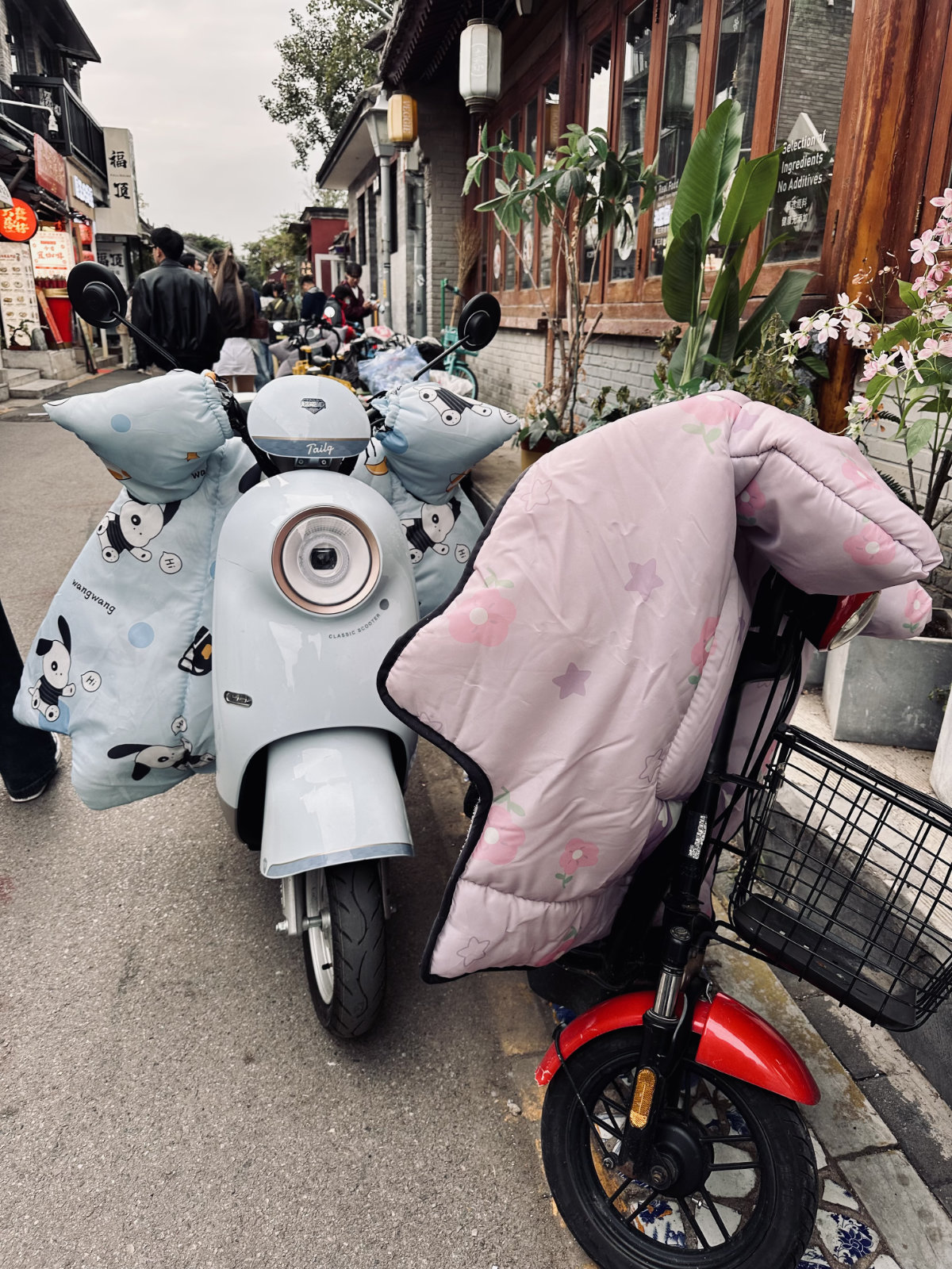 Hutongs de Pékin, Pékin, Scène du quotidien