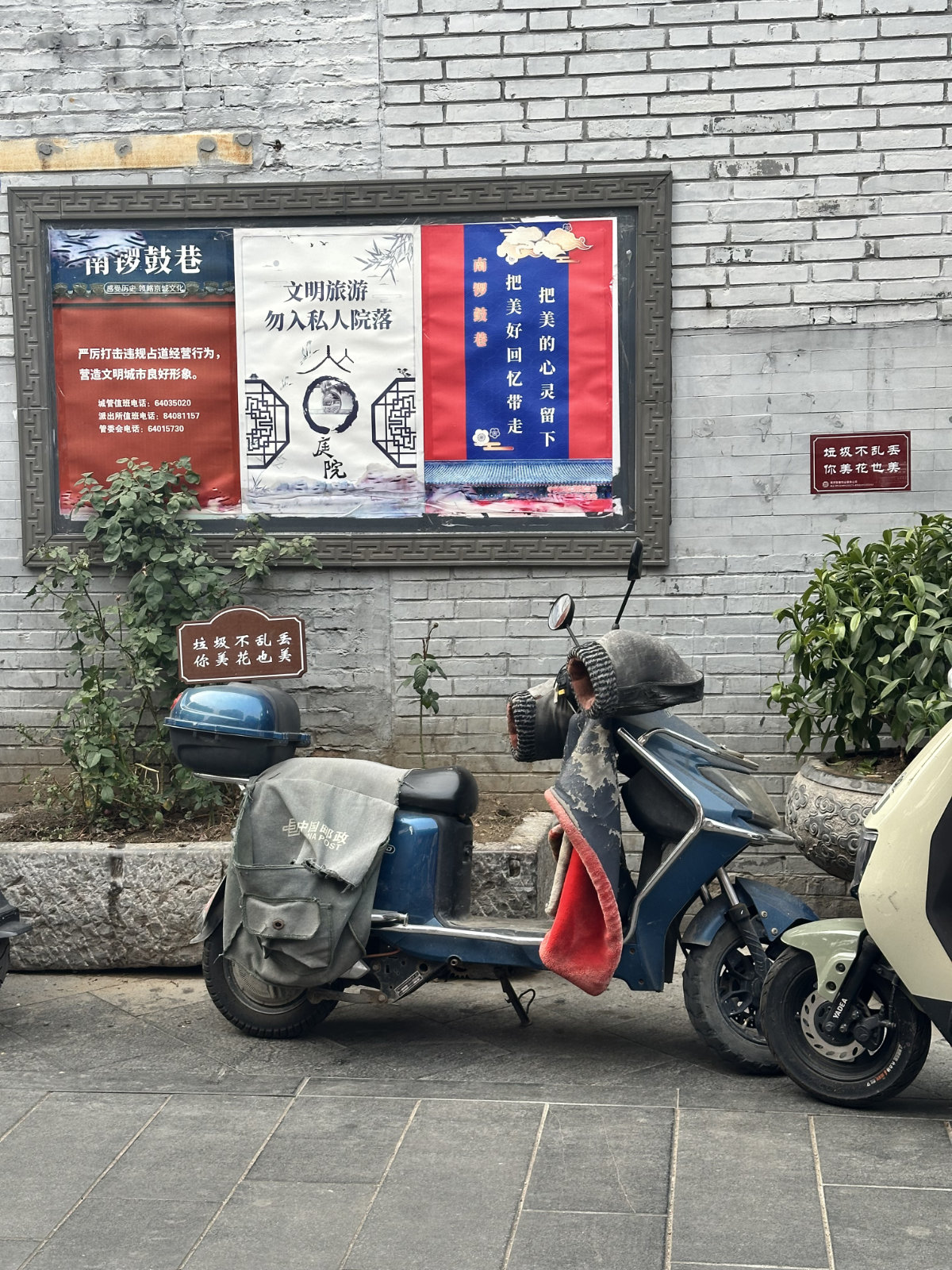 Hutongs de Pékin, Pékin, Scène du quotidien