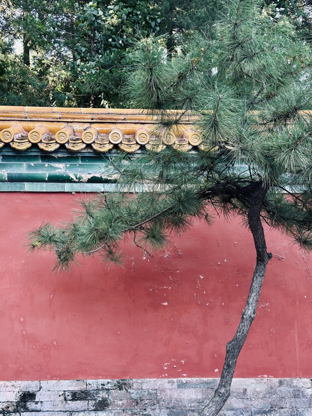 Palais d’Été de Pékin, Pékin, Toits traditionnels chinois