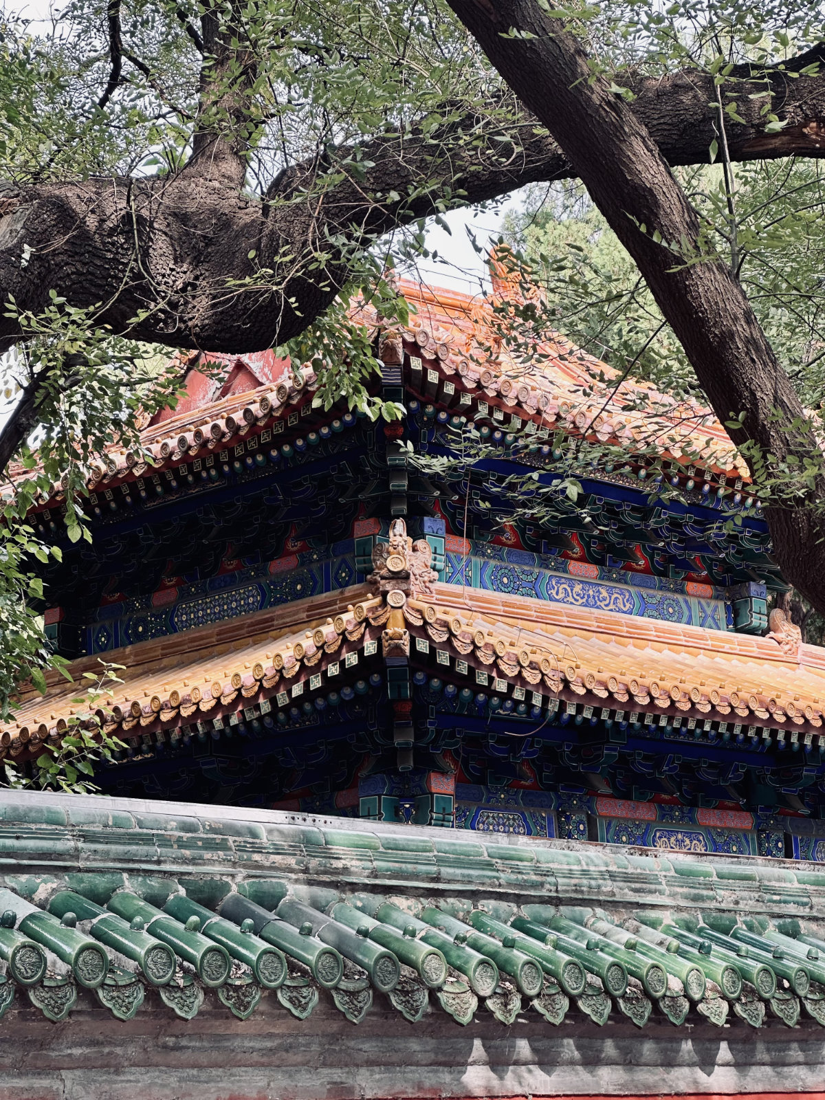 Toits traditionnels chinois, Hutongs de Pékin, Pékin, Détail architectural, Architecture traditionnelle