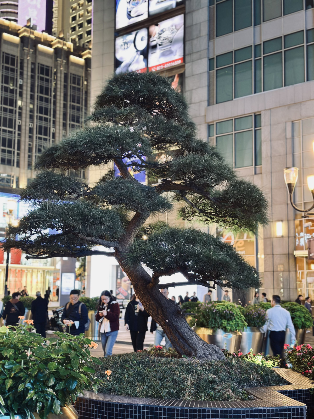 Chongqing Jiefangbei, Chongqing, La Chine de nuit, Chongqing la nuit