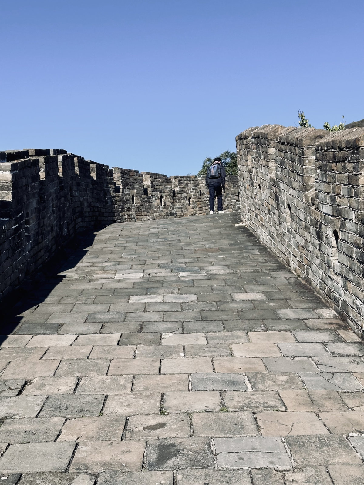 Grande muraille de Chine