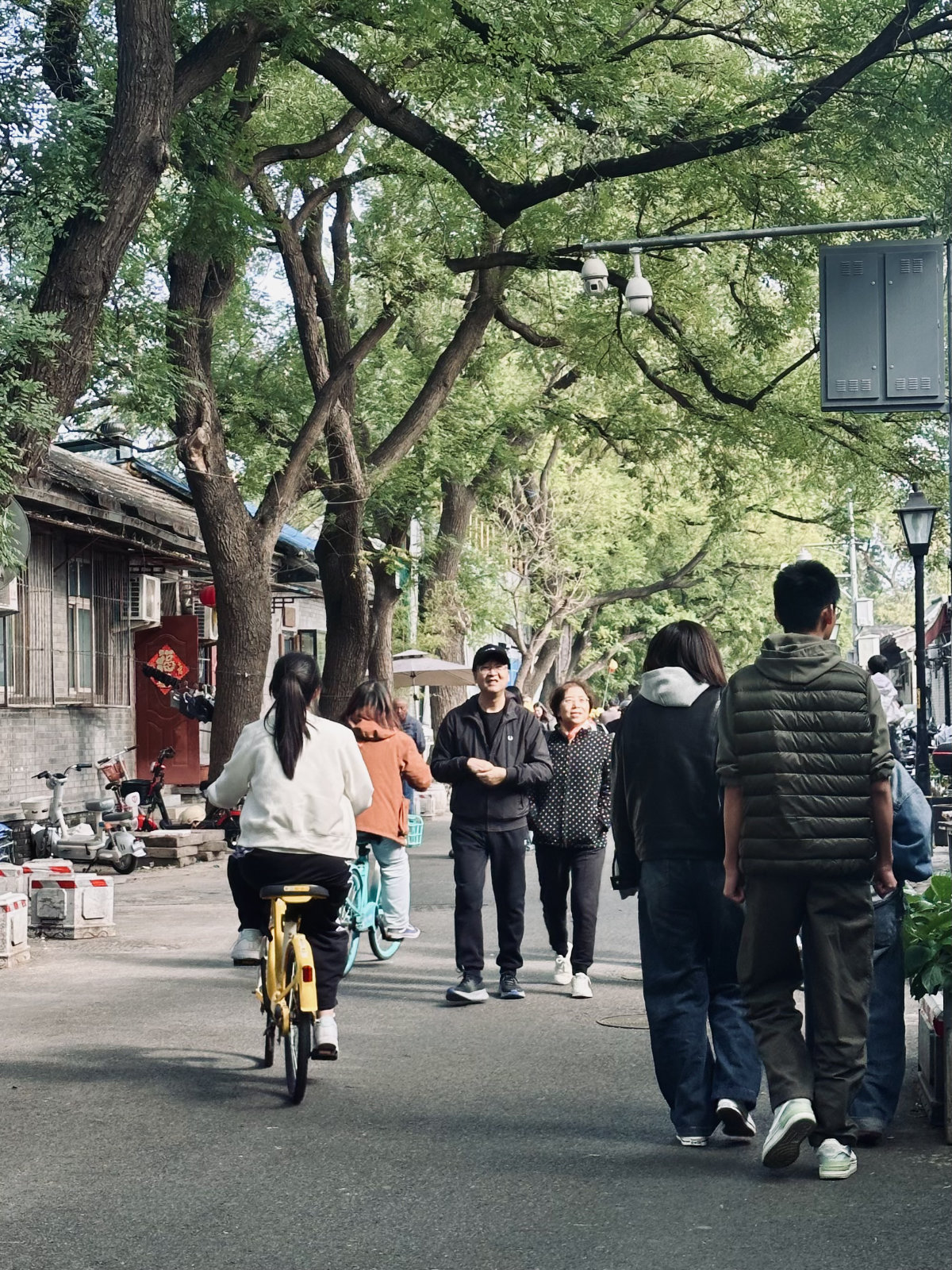Hutongs de Pékin, Pékin, Ruelle végétalisée, Scène de rue
