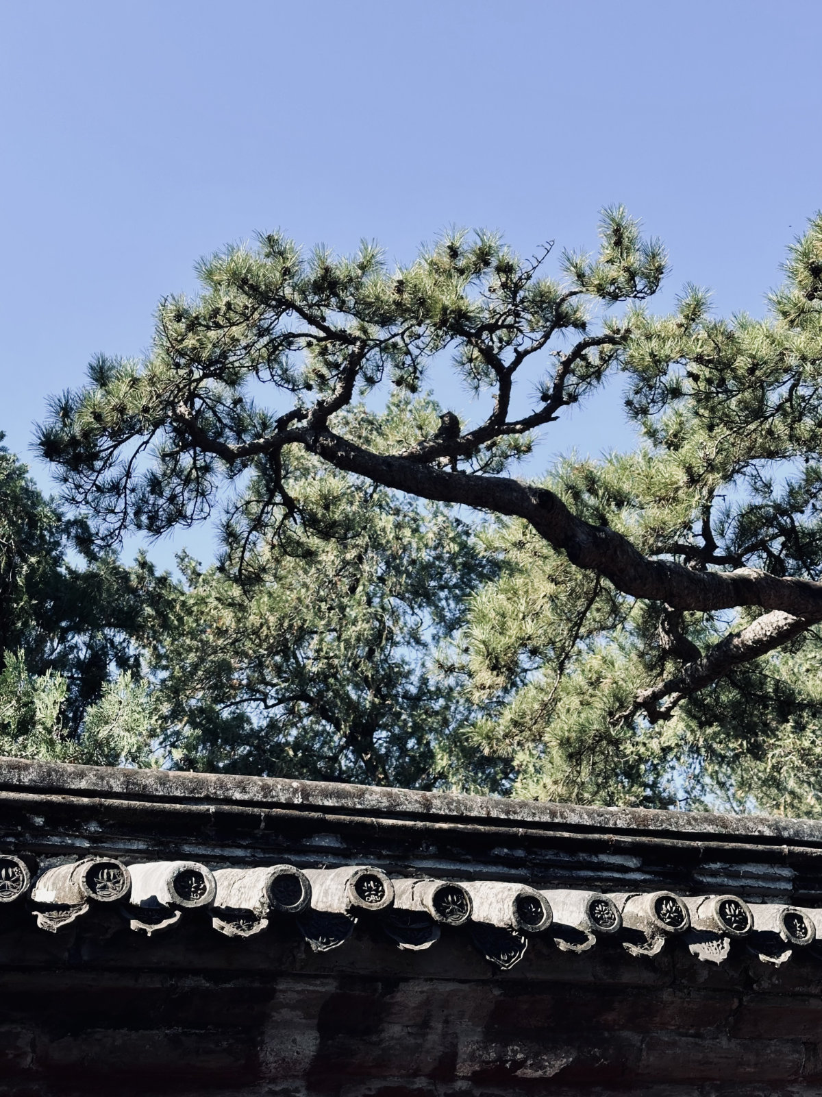 Palais d’Été de Pékin, Pékin, Toits traditionnels chinois