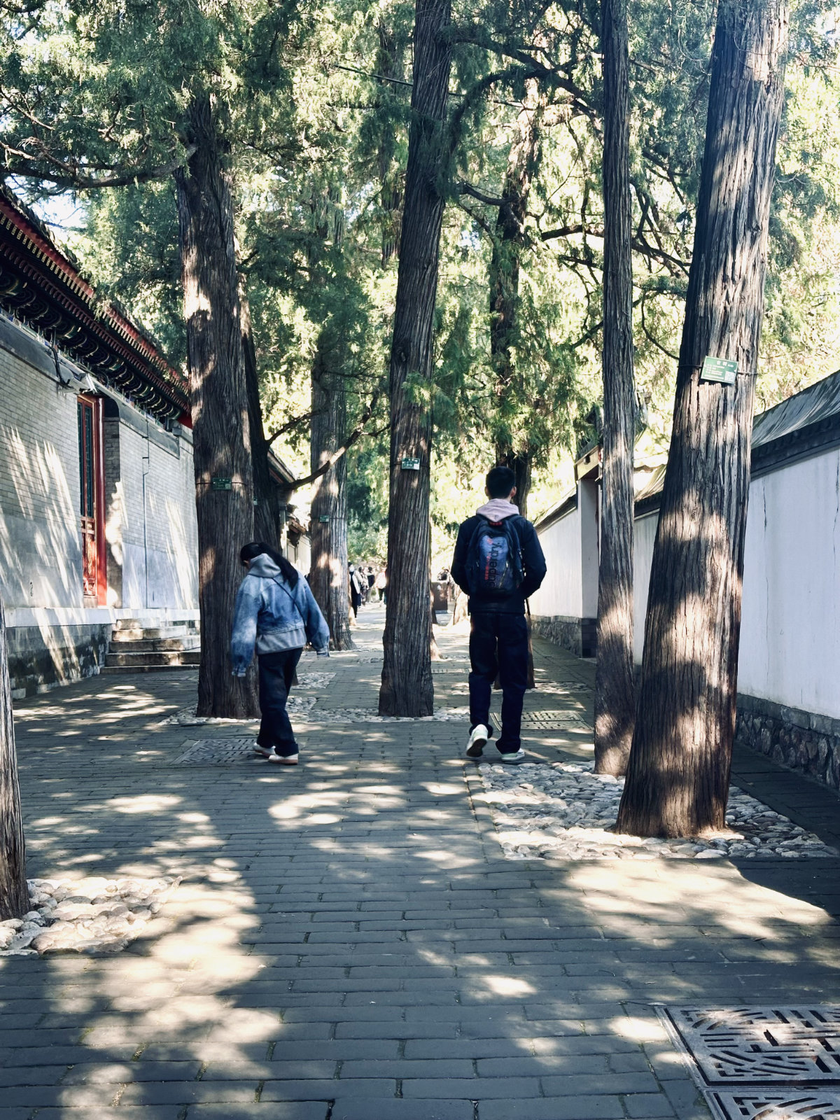Pékin, Parc et jardin, Palais d’Été de Pékin