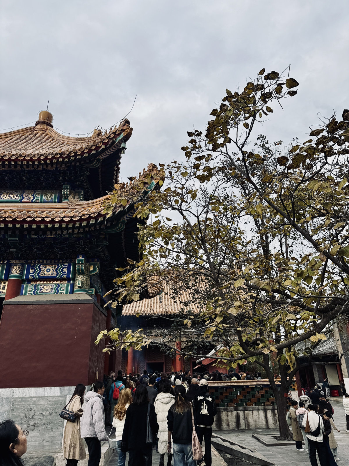 Toits traditionnels chinois, Temple des Lamas de Pékin, Pékin, Architecture traditionnelle