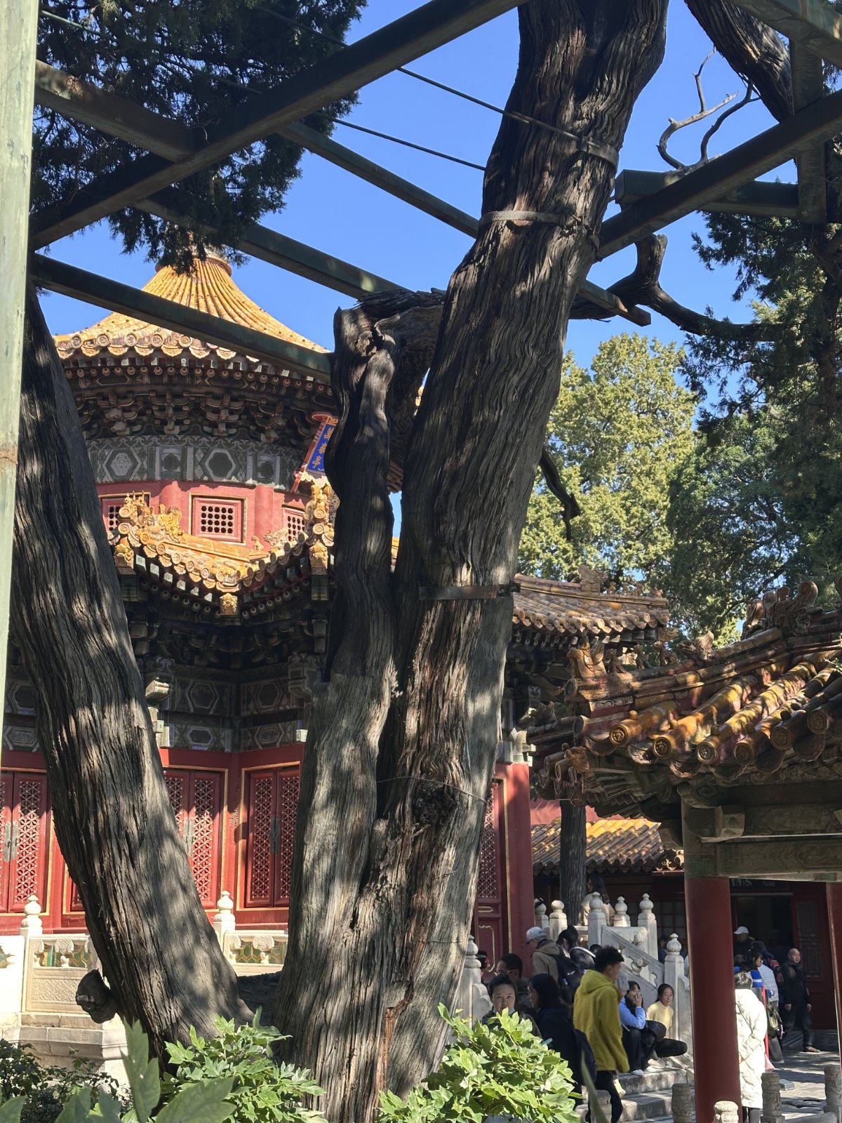 Cit&eacute; interdite, Pavillon chinois, P&eacute;kin