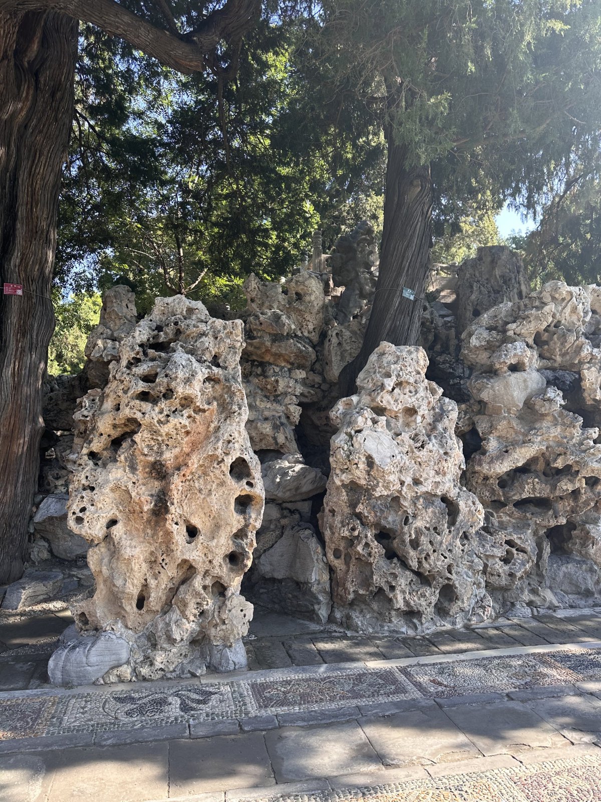 Cité interdite, Parc et jardin, Pékin