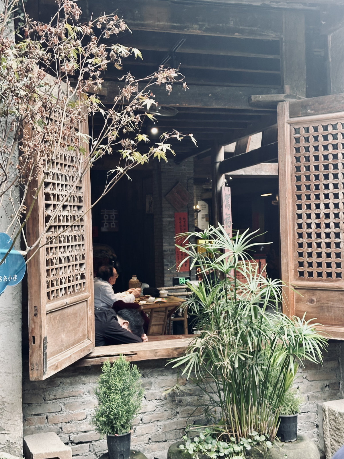 Chongqing Mountain City Alley, Chongqing, Maison traditionnelle, Ruelle végétalisée