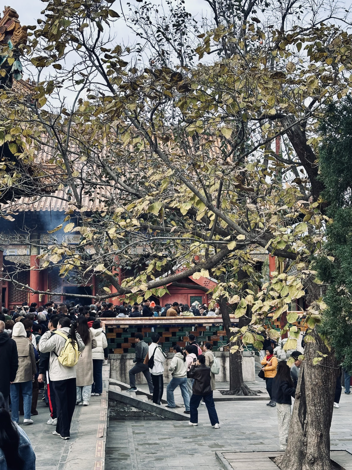 Temple des Lamas de Pékin, Pékin, Architecture traditionnelle