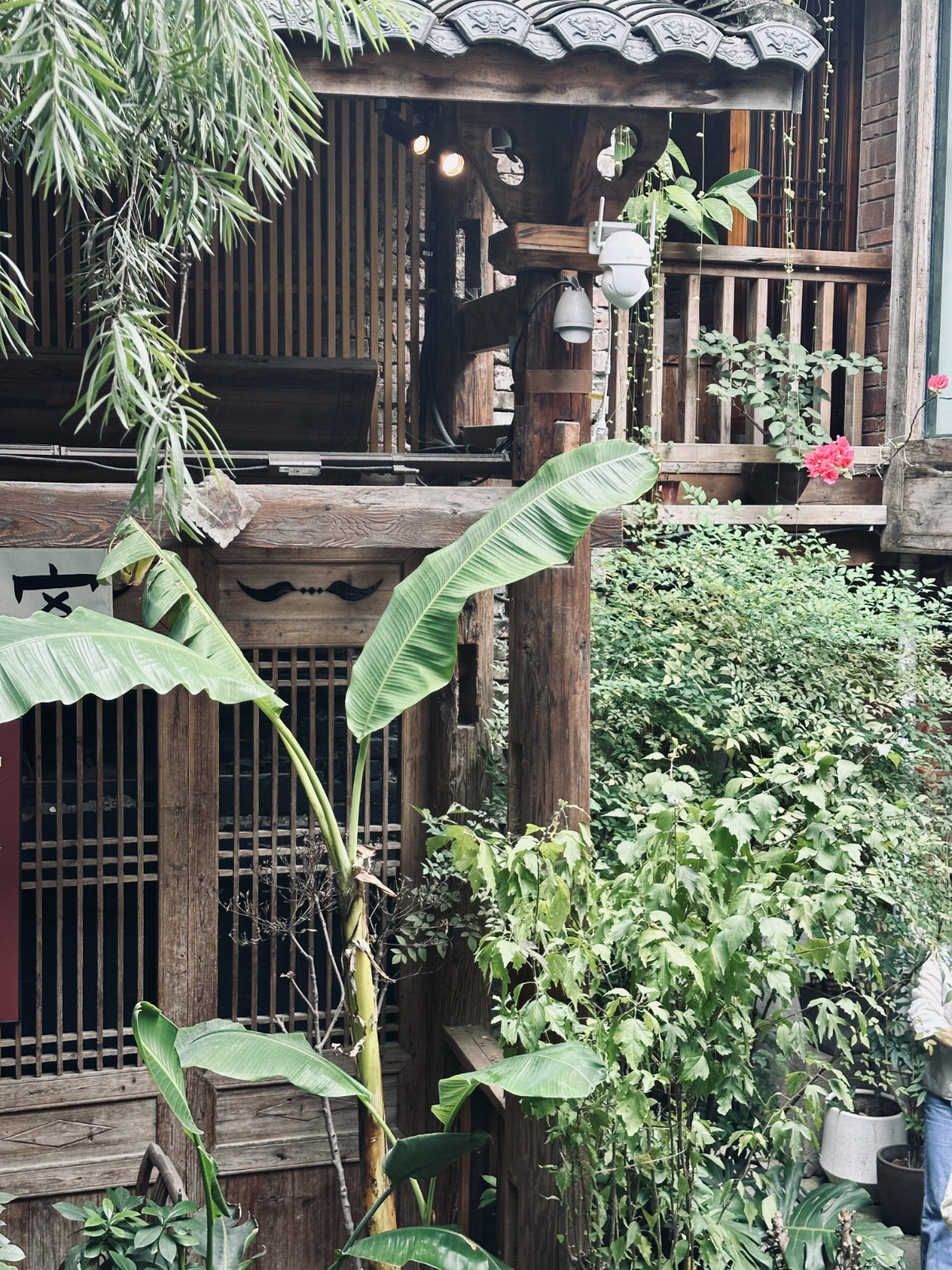 Architecture traditionnelle, Ambiance traditionnelle, Atmosphère chinoise, Chongqing, Chongqing Mountain City Alley, Maison traditionnelle en bois, Ruelle végétalisée