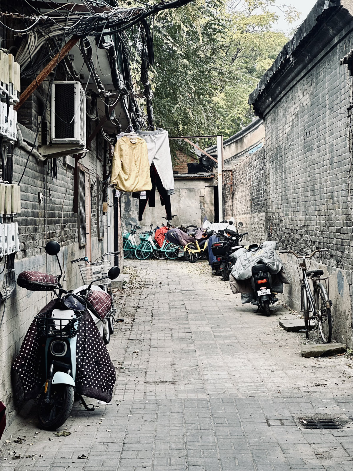 Hutongs de Pékin, Pékin, Scène du quotidien