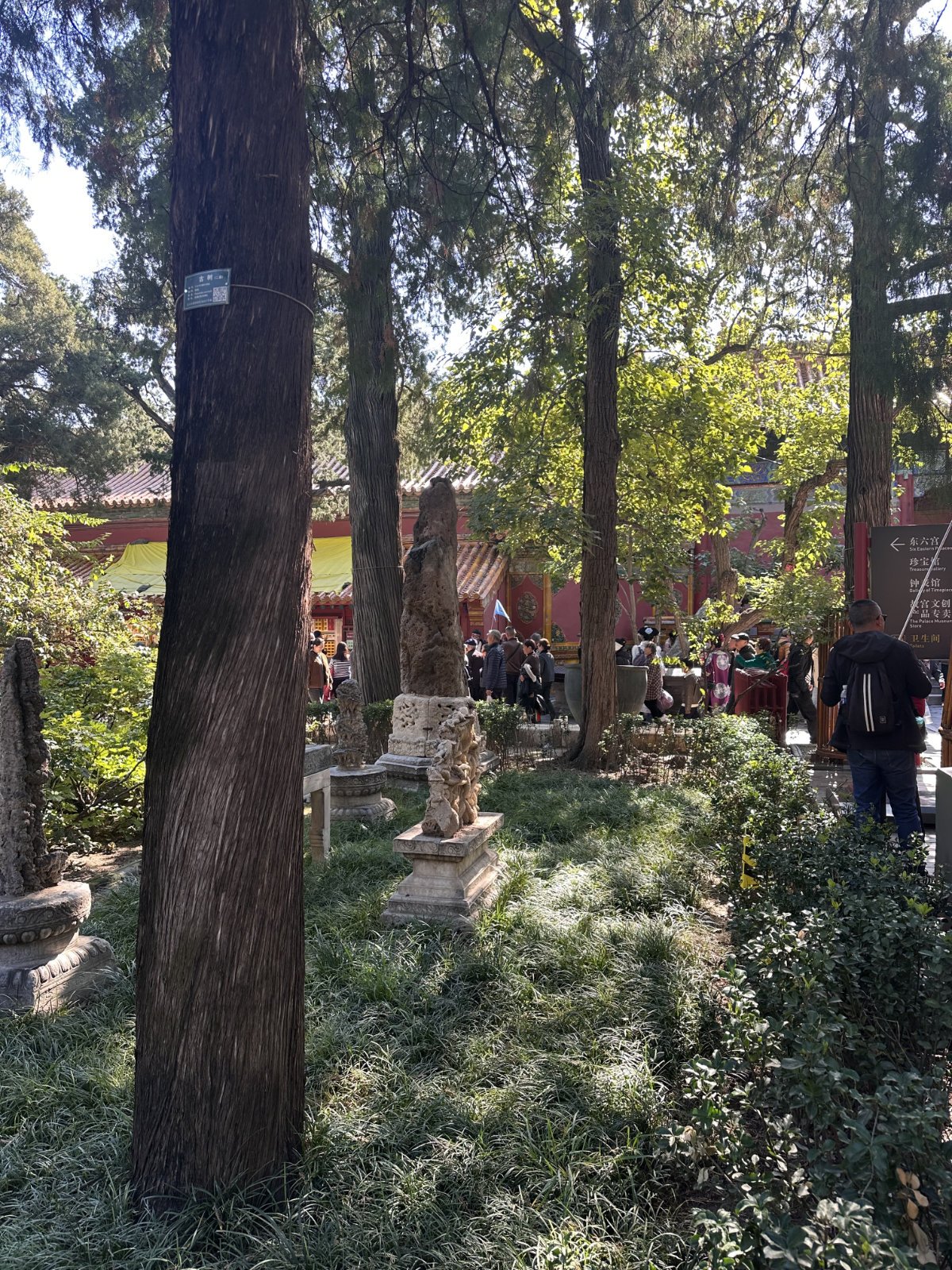 Cité interdite, Parc et jardin, Pékin