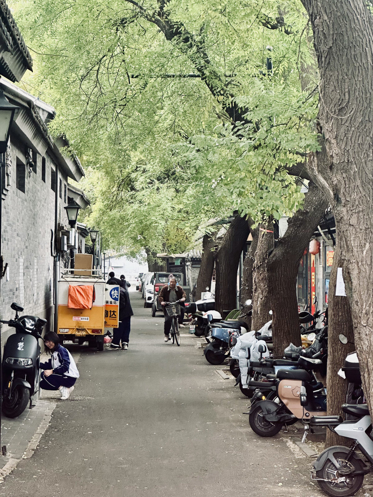 Hutongs de Pékin, Pékin, Ruelle ancienne, Scène du quotidien
